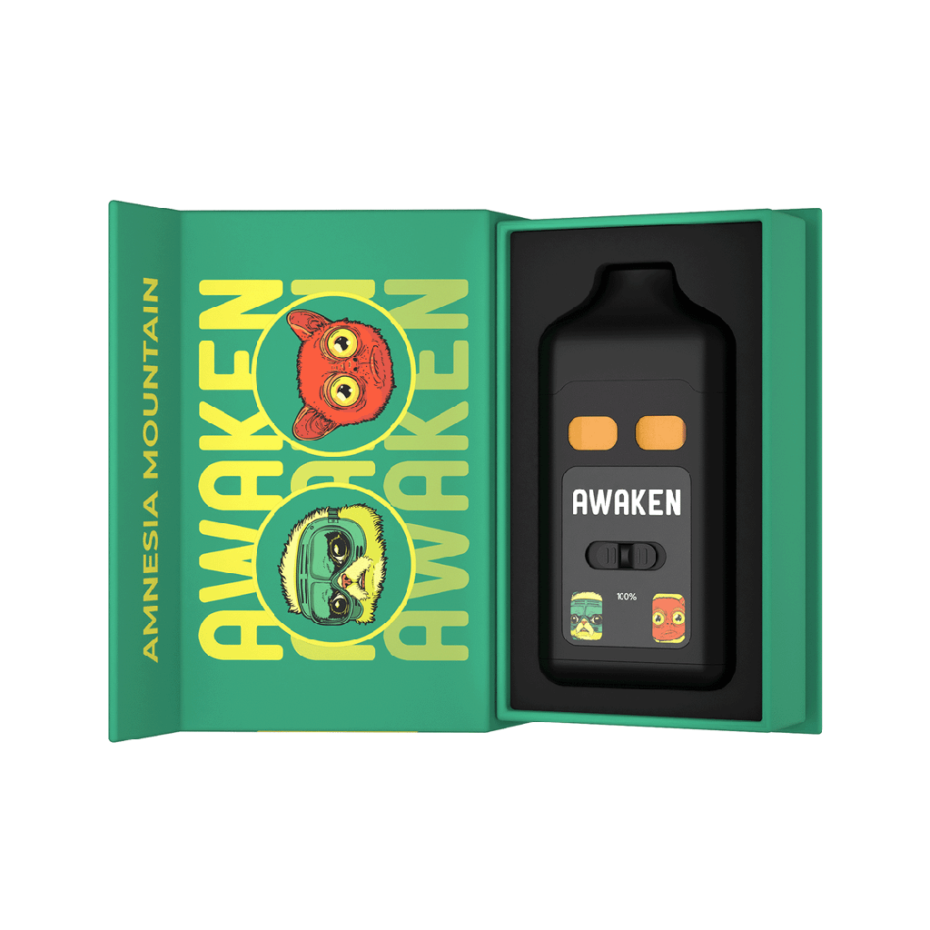 Amnesia Mountain (1).png