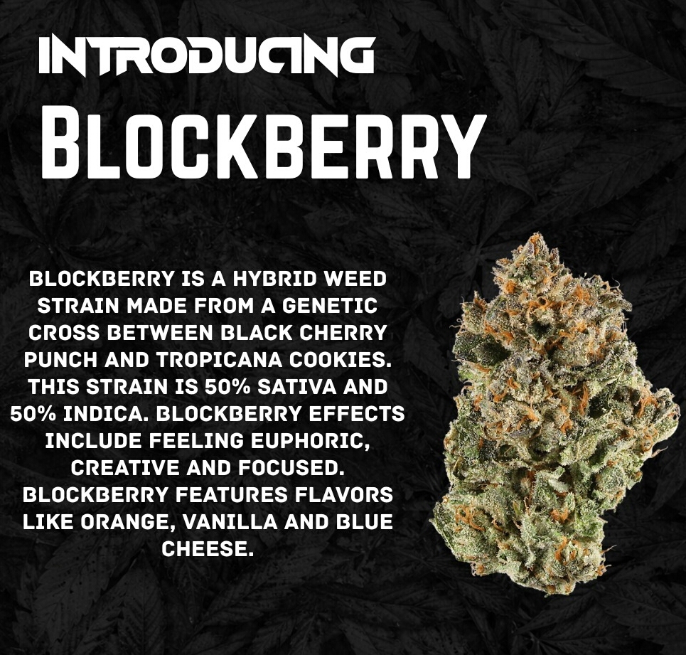 Blockberry 2.jpg