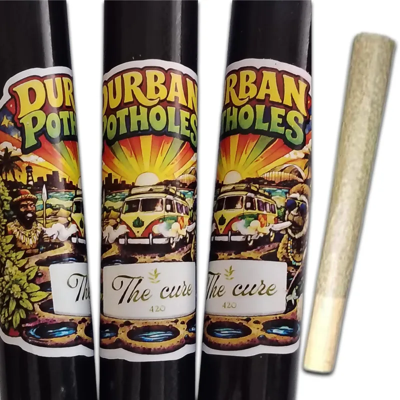 Durban Potholes 2b.webp