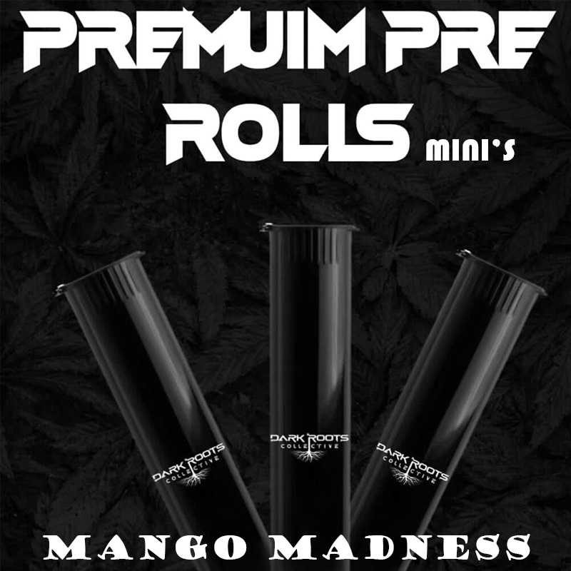 Mango Madness 800x800.jpg
