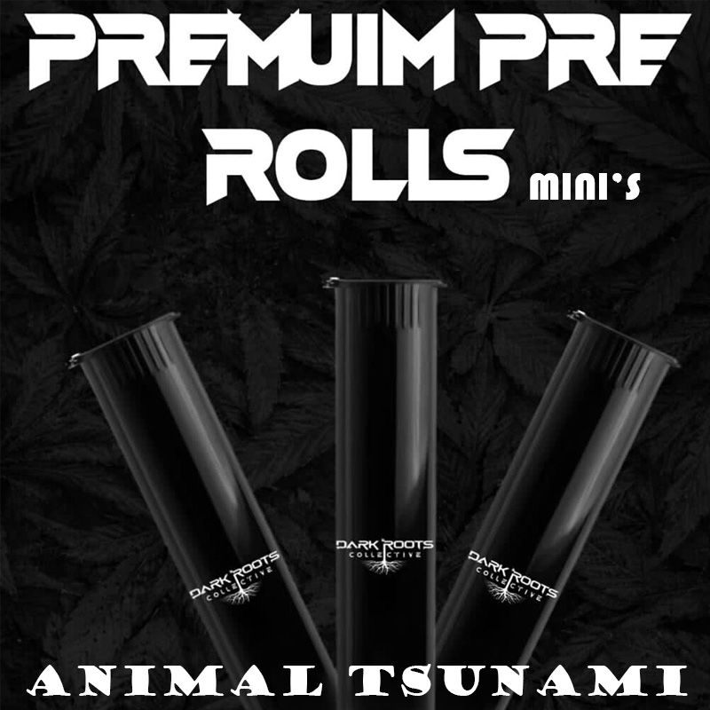 Animal Tsunami 800x800.jpg