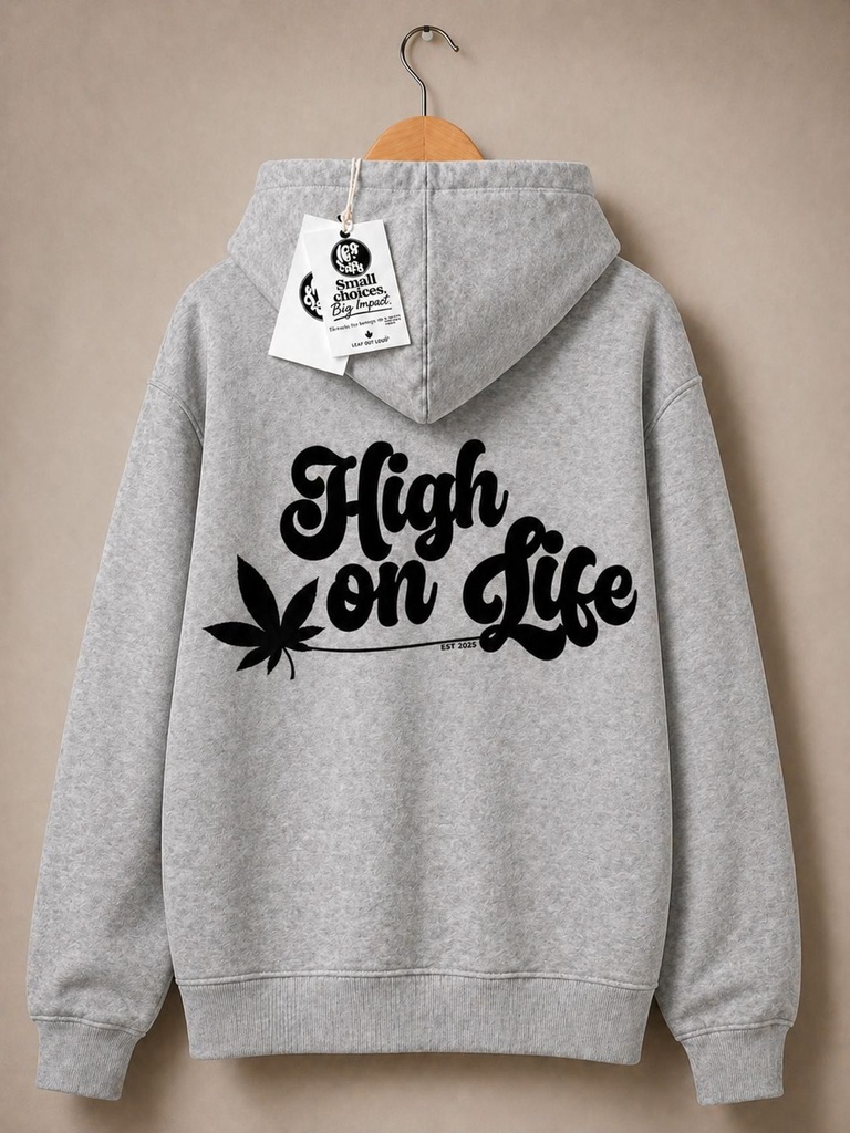 LOL GREY HOODIE BACK.jpg