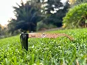 Sunglasses 1.webp