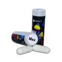 The Journey Mushroom Caps 2's - Mexican