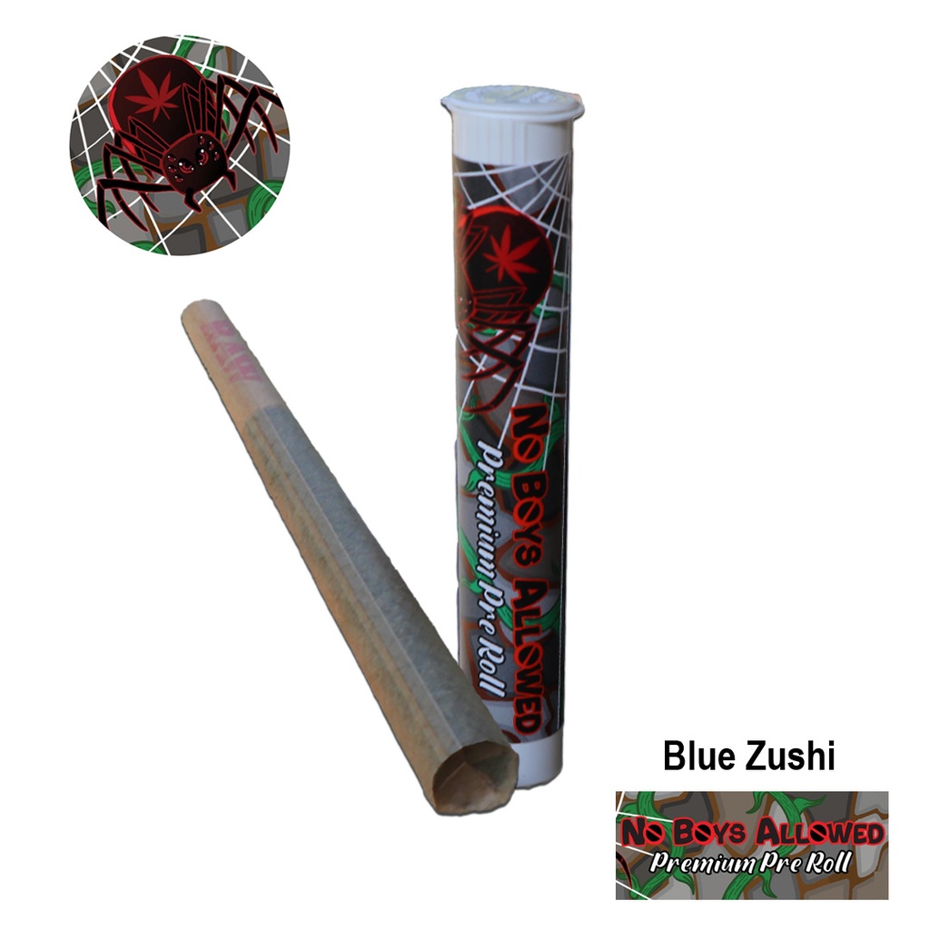 No Boys Allowed Premium Indoor Pre-Rolls - Blue Zushi