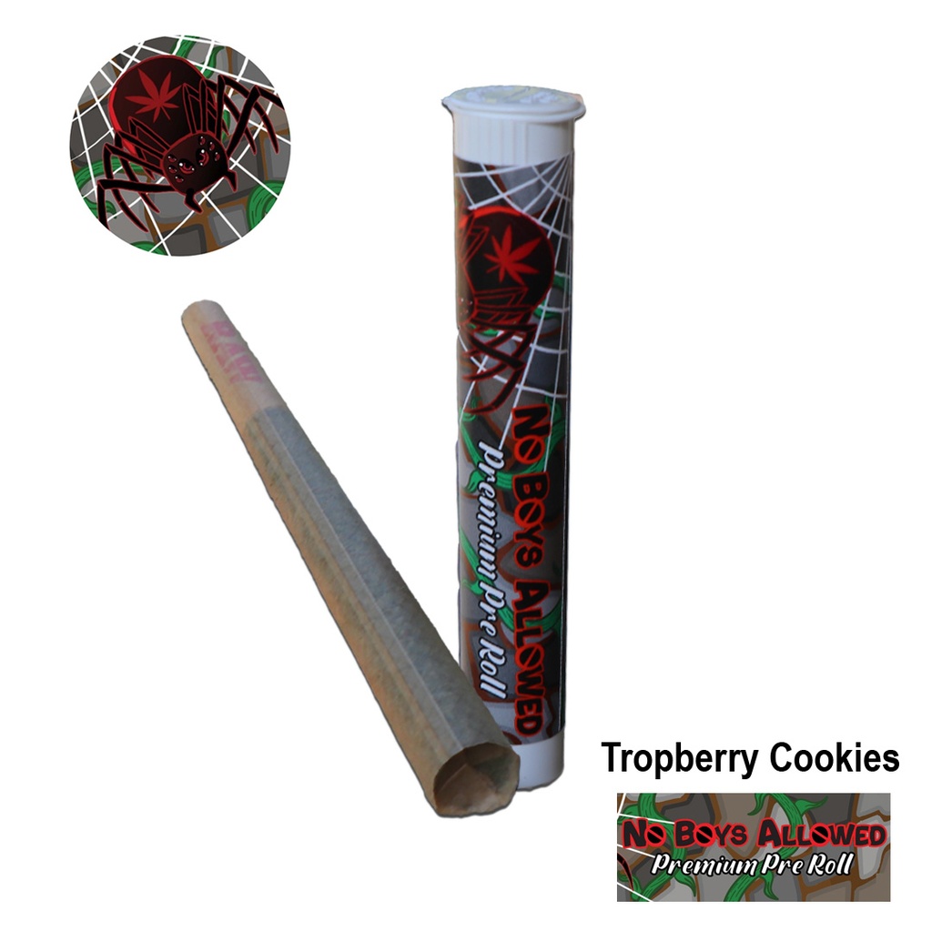 No Boys Allowed Premium Indoor Pre-Rolls - Tropberry Cookies