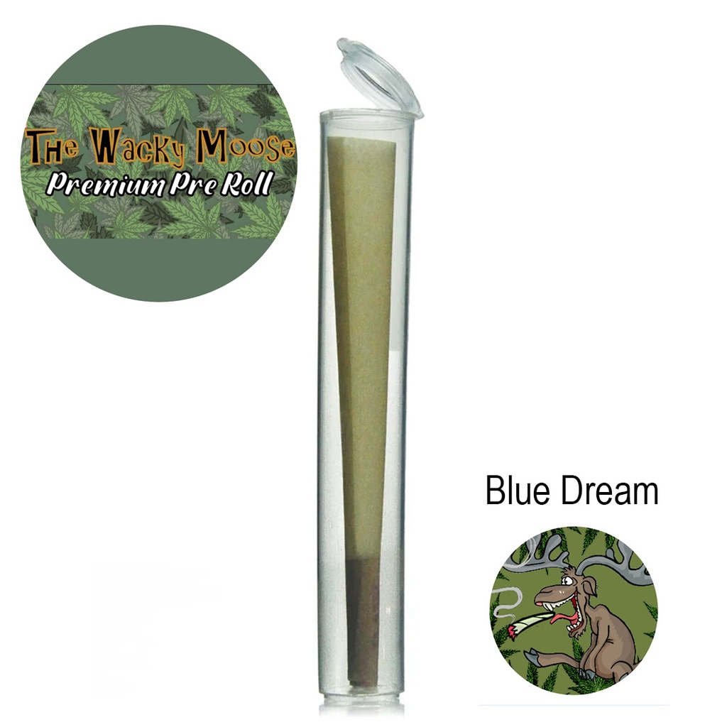 Wacky Moose Premium Greenhouse Pre-Rolls - Blue Dream