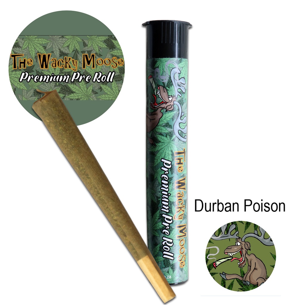 Wacky Moose Premium Pre-Rolls - Kingsize - Indoor - Durban Poison (Sativa)