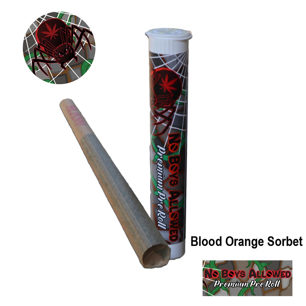 No Boys Allowed Premium Pre-Rolls - Kingsize - Greendoor - Blood Orange Sorbet (Indica)