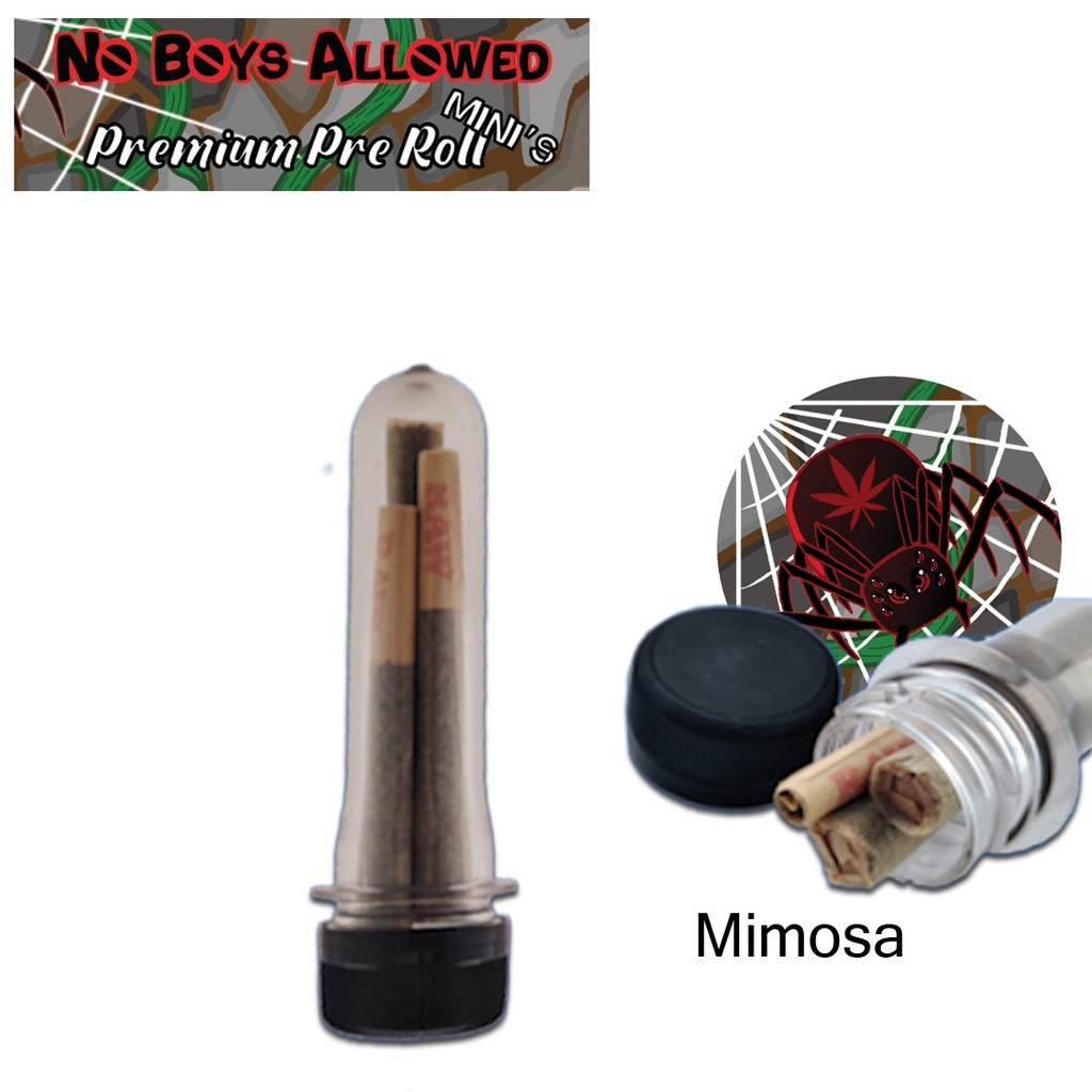 No Boys Allowed Premium Pre-Rolls - Mini's - Greendoor - Mimosa (Sativa) 3's