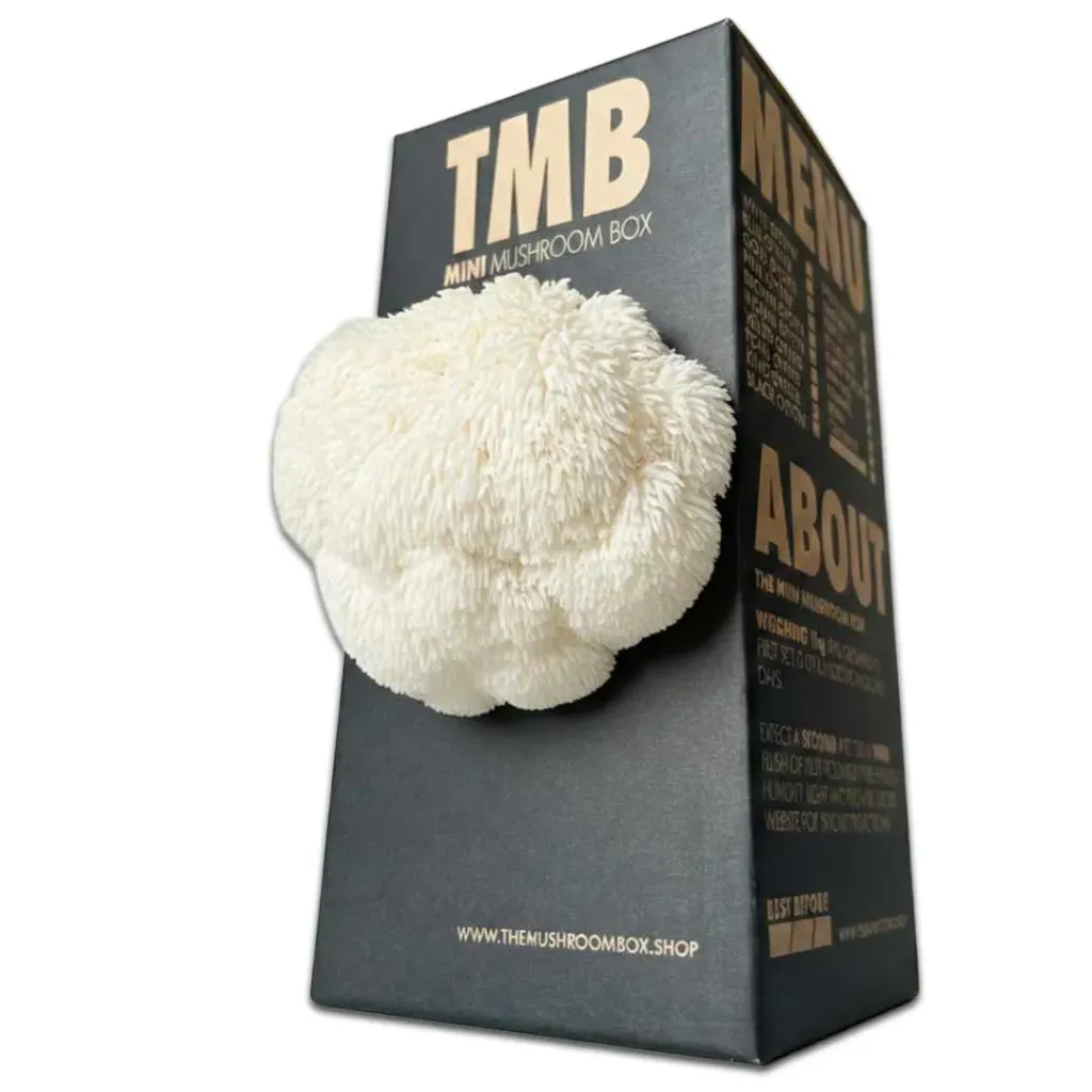 Mushroom Grow Box - Lion's Mane Mushrooms