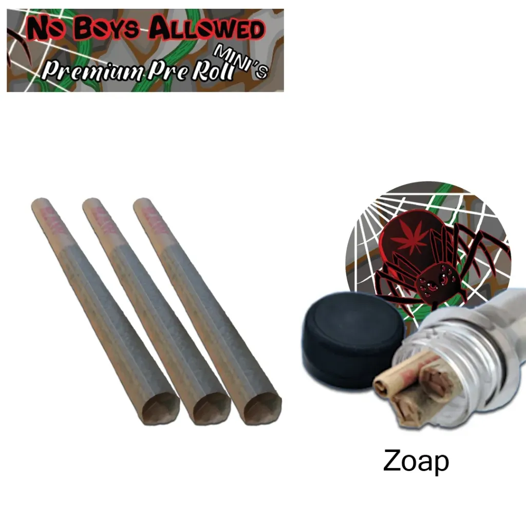 No Boys Allowed Premium Pre-Rolls - Mini's - Greendoor - Zoap (Hybrid) 3's