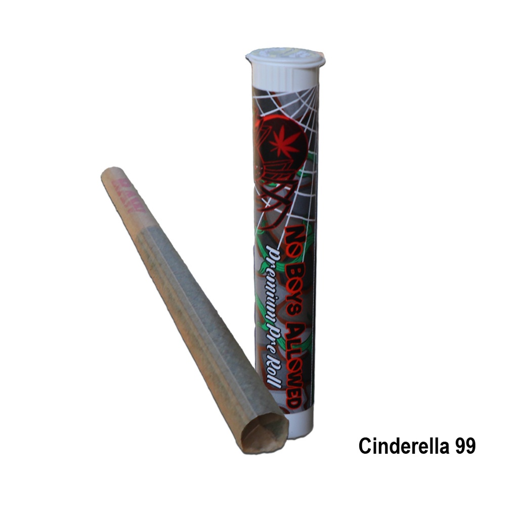 No Boys Allowed Premium Indoor Pre-Rolls - Cinderella 99