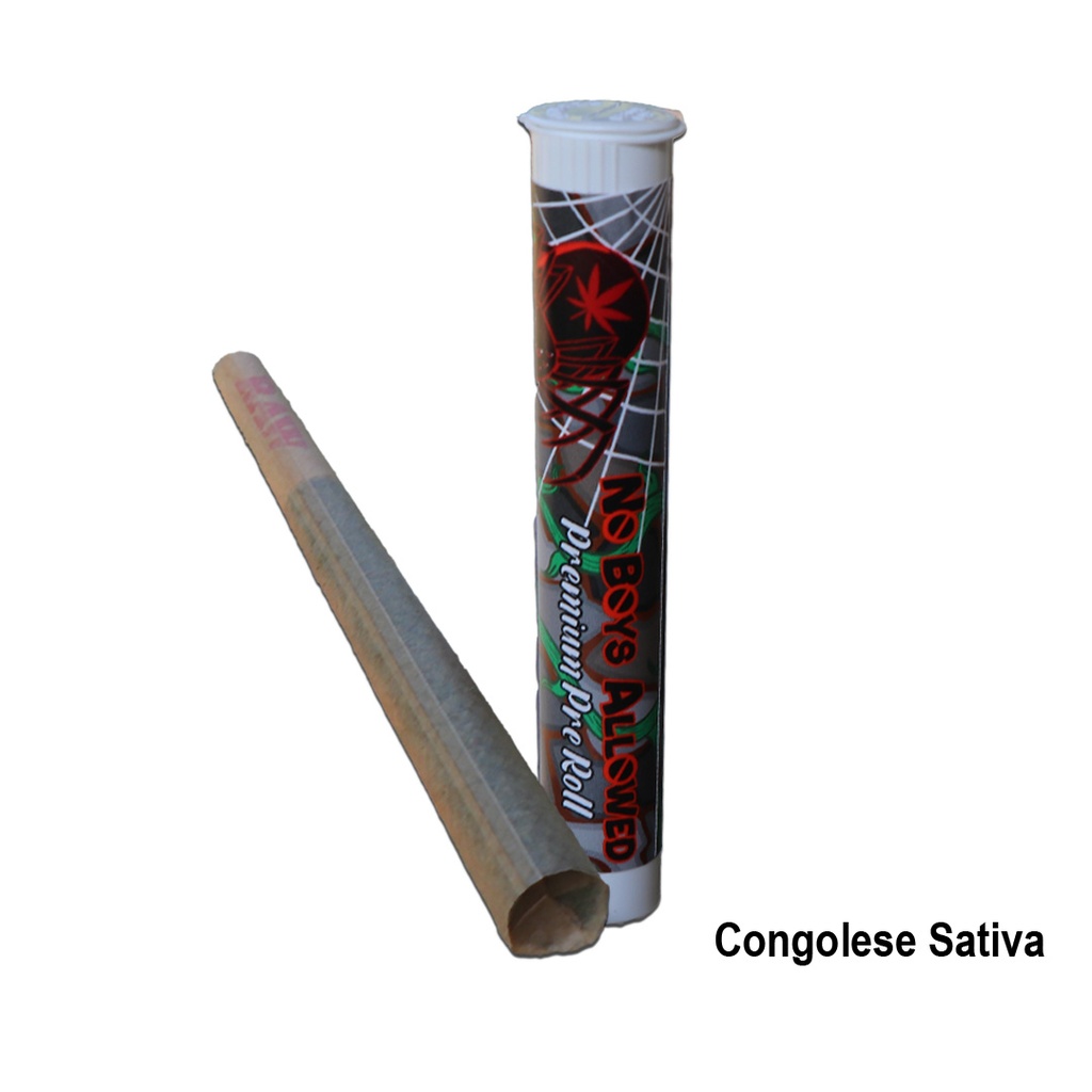 No Boys Allowed Premium Indoor Pre-Rolls - Congolese Sativa