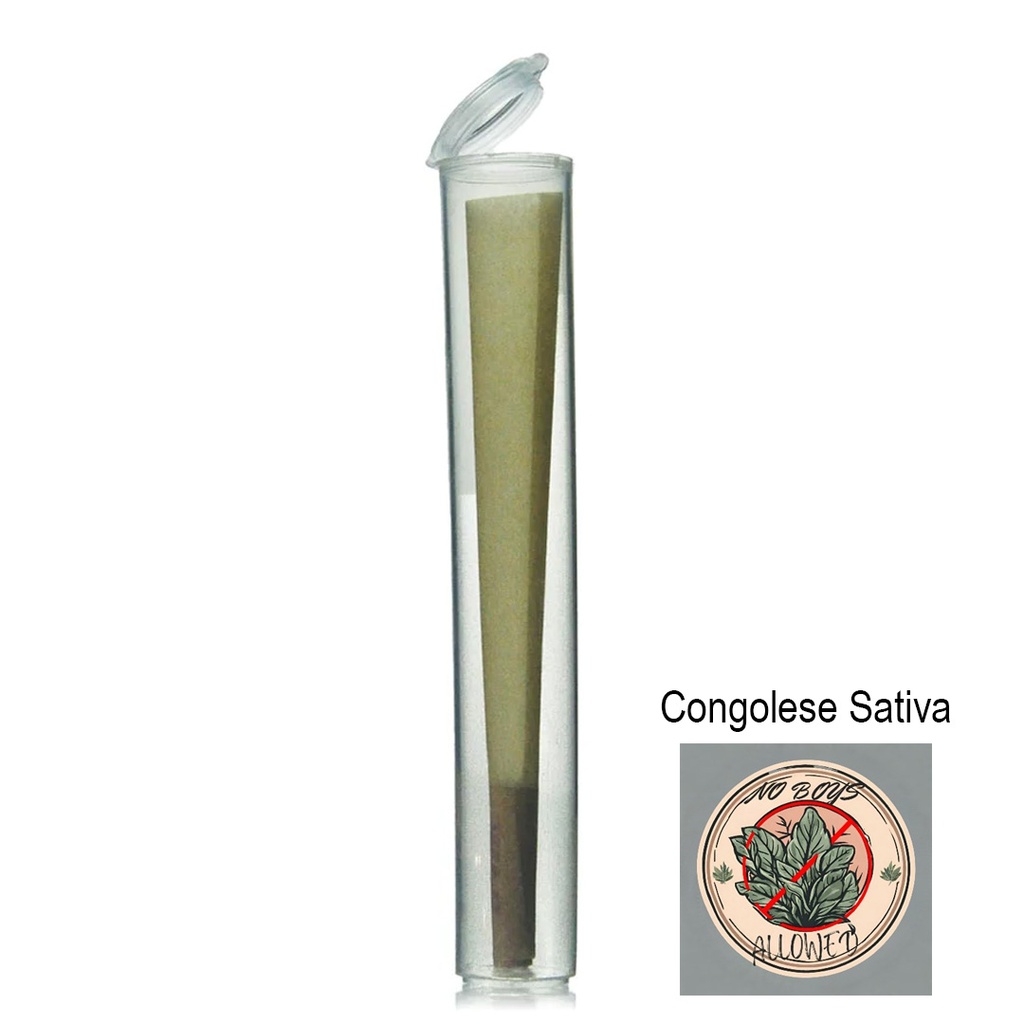 No Boys Allowed Premium Indoor Pre-Rolls - Congolese Sativa