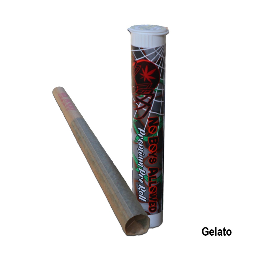 No Boys Allowed Premium Indoor Pre-Rolls - Gelato