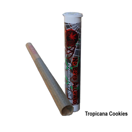 No Boys Allowed Premium Indoor Pre-Rolls - Tropicana Cookies